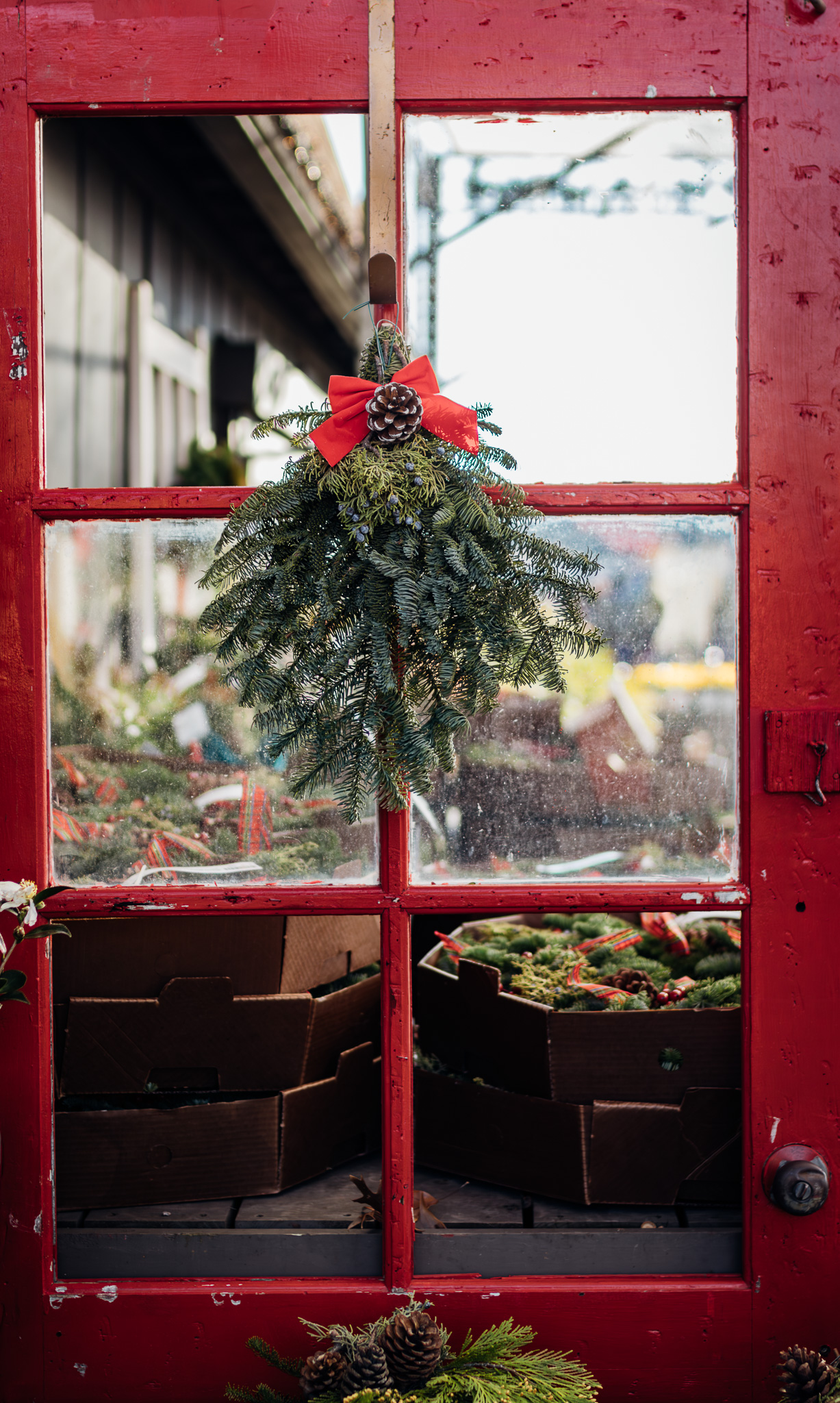 Fresh-Cut Greens, Wreaths, Garlands, and Trees: Deck the Halls Naturally