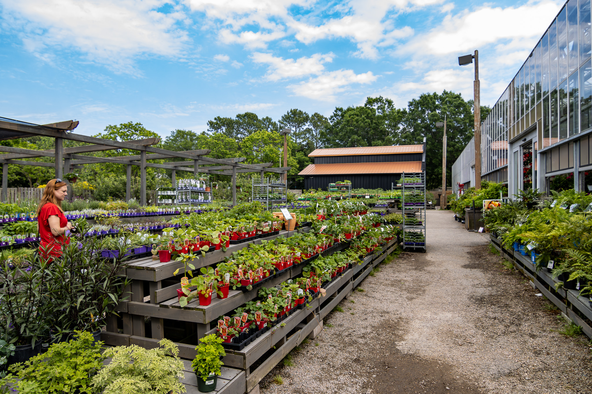Consider the following when planting up your edible garden:
