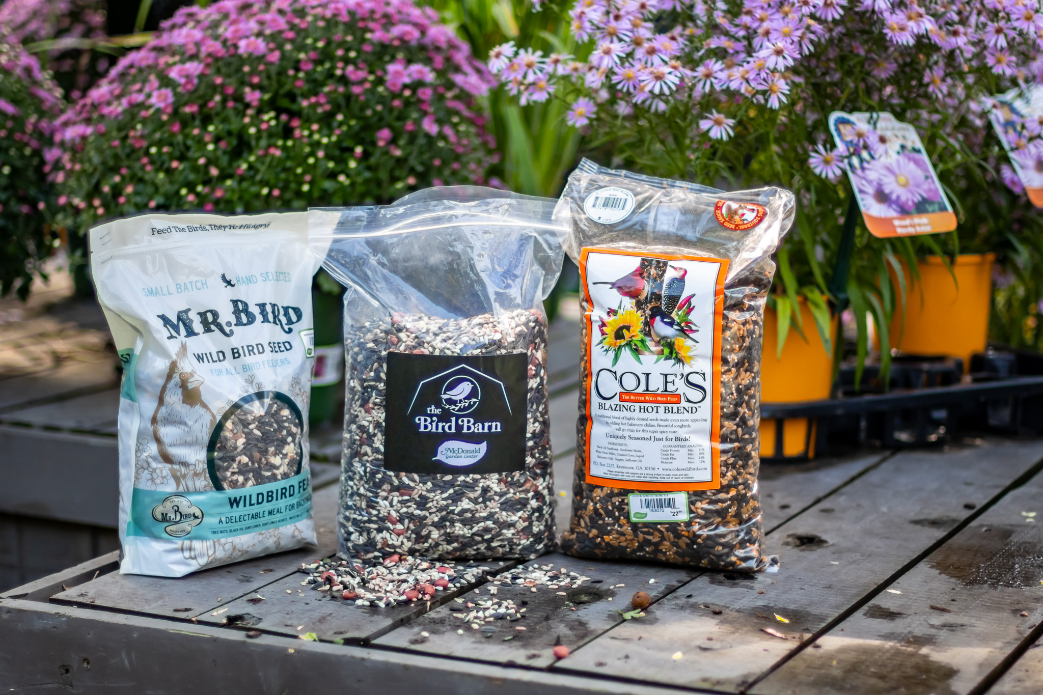 Bird Seed