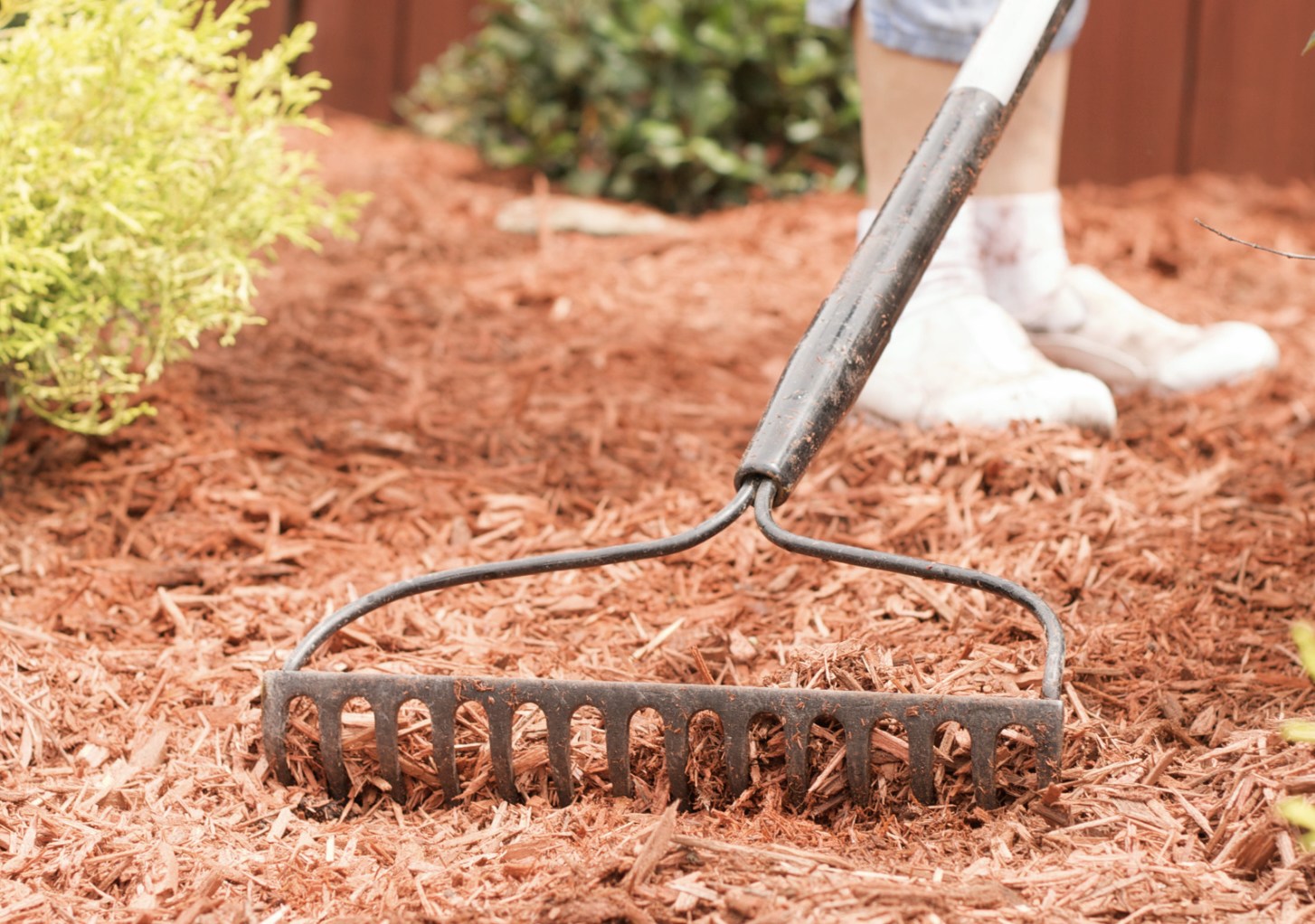 Feed and Improve Your Soil