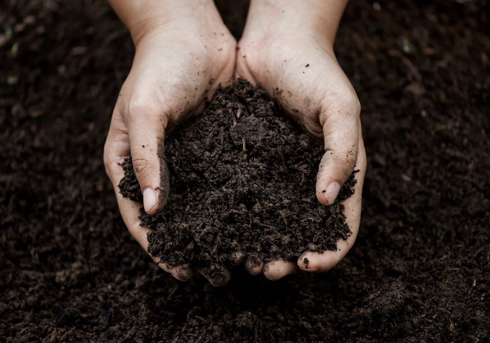 Prep the Soil
