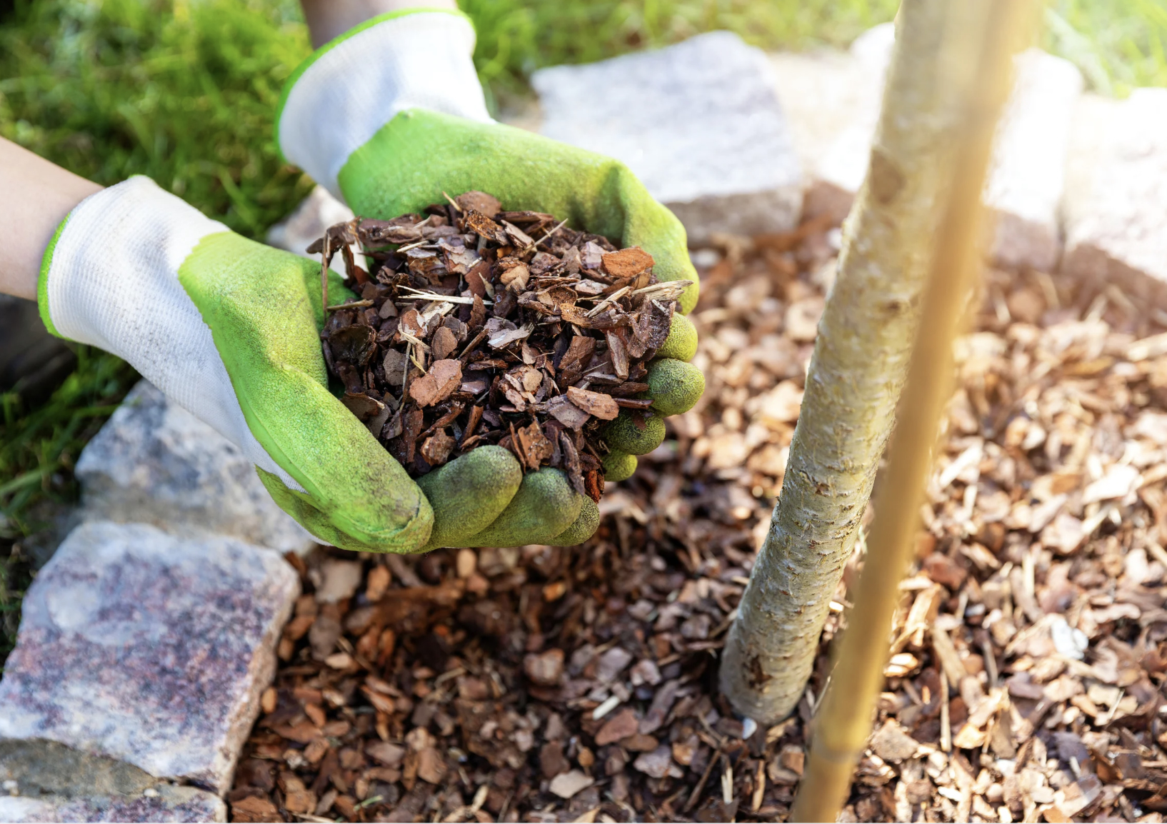 Mulch to Protect