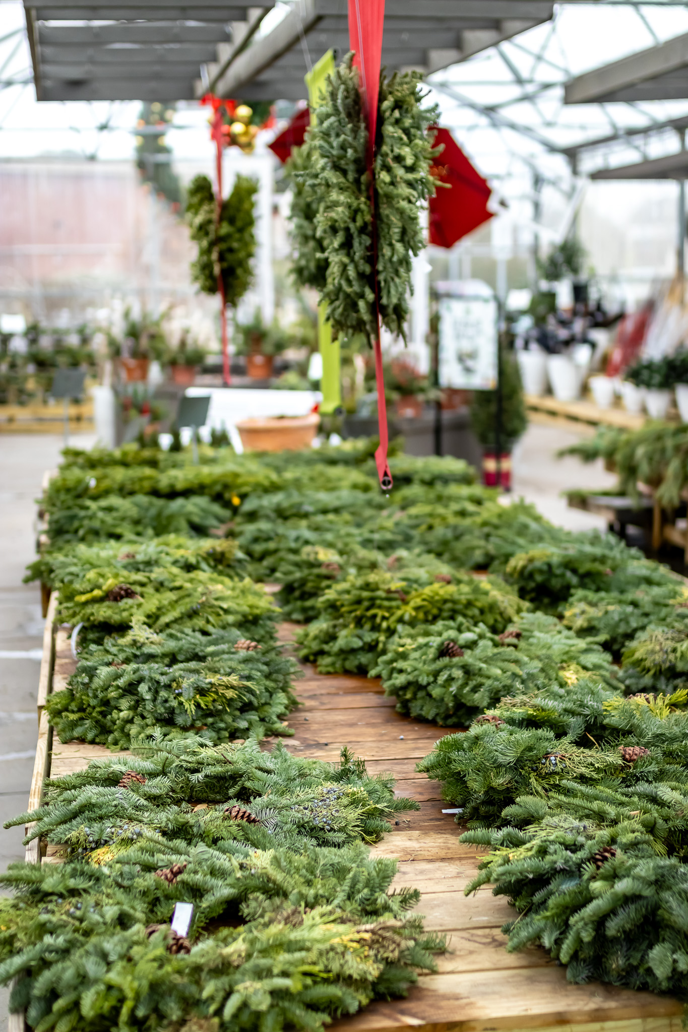 Keep Your Greens Looking Great