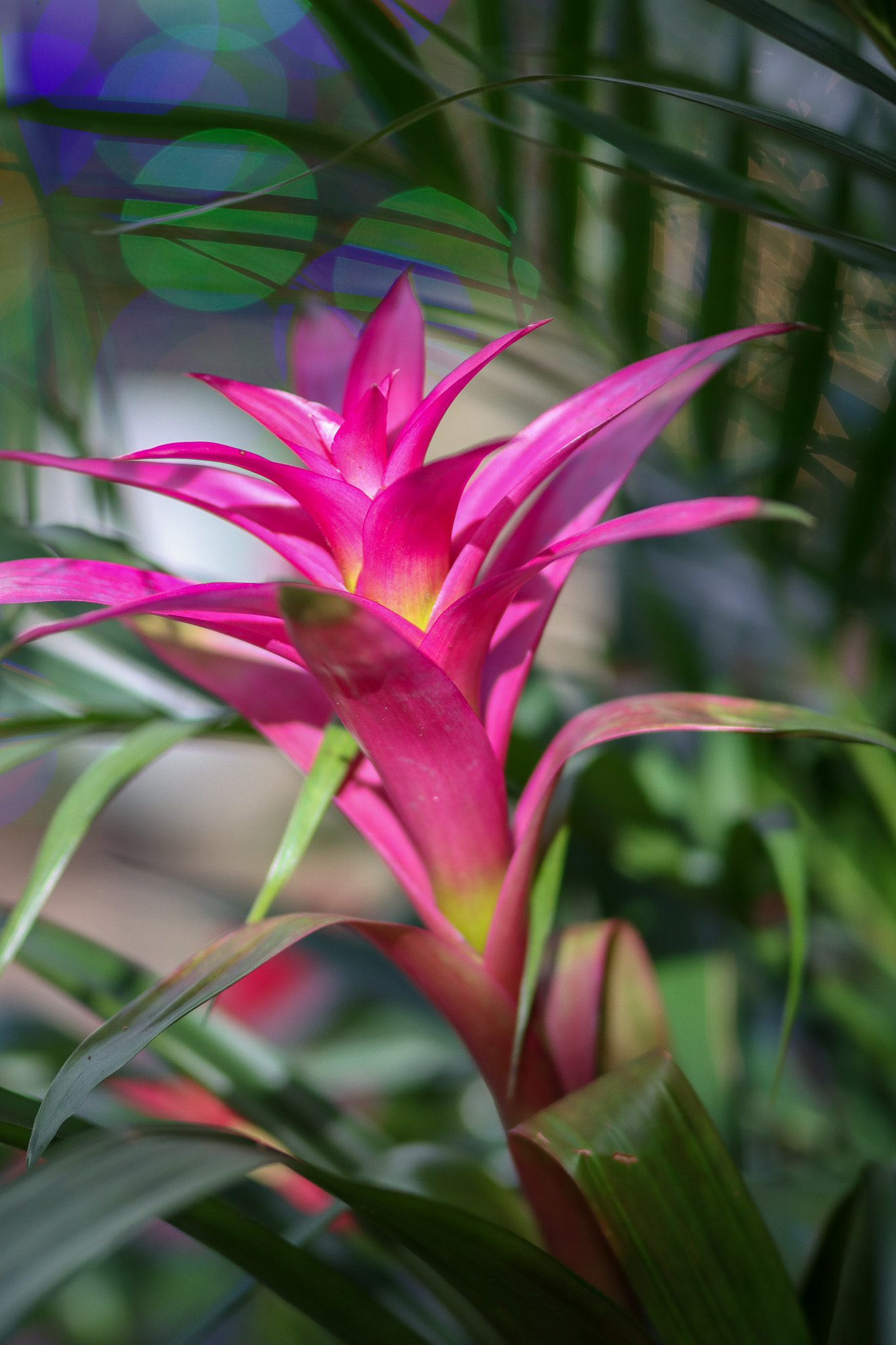 Common Propagation Mistakes to Avoid