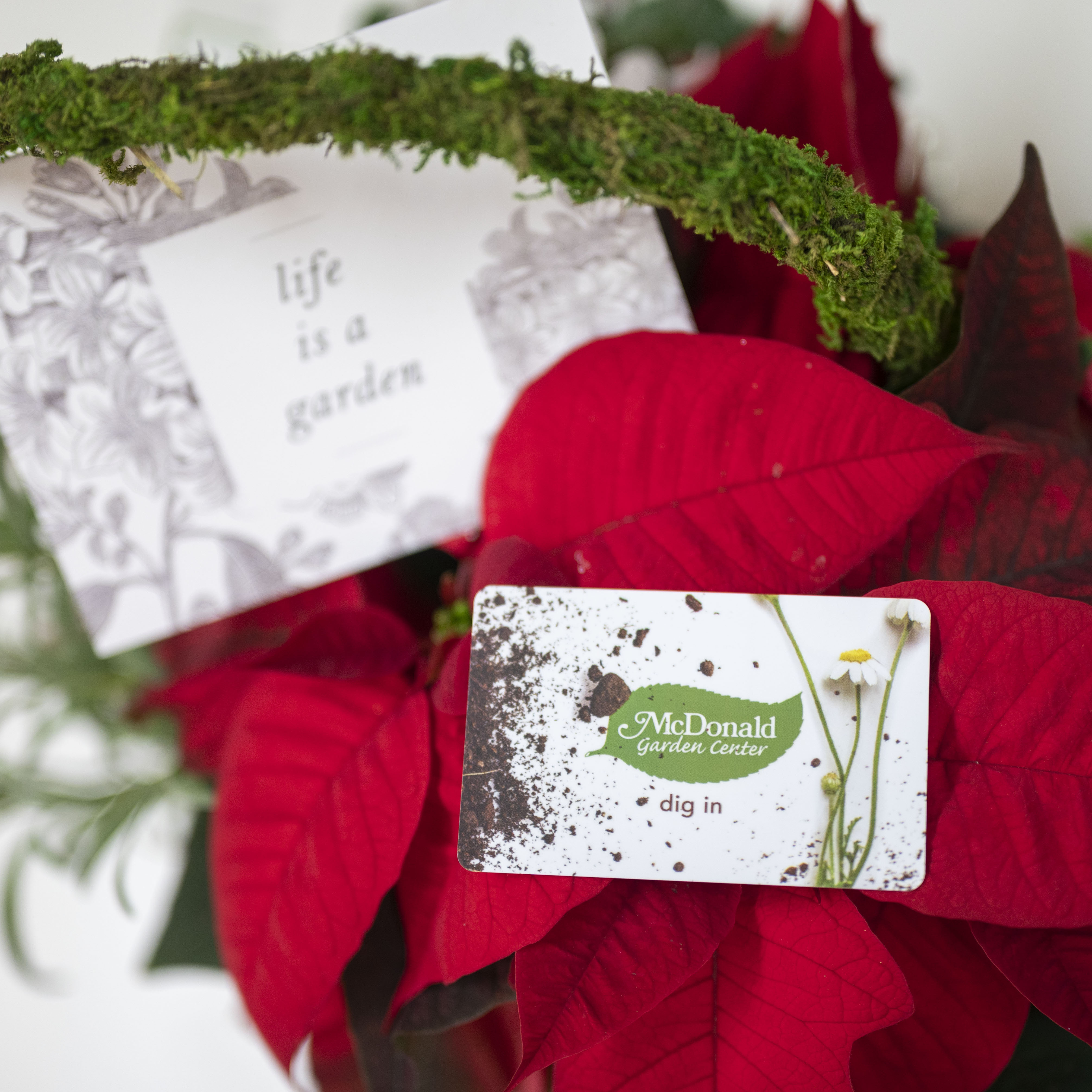 Gift Card Example