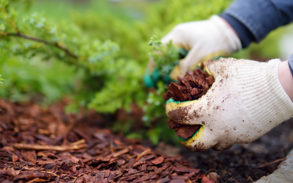 5 Best Mulching Practices for Spring. McDonald Garden Center