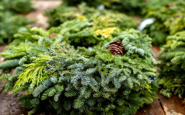 Spruce Up Their Season: Giving Fresh-Cut Wreaths and Porch Pots for Christmas