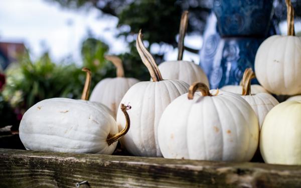 5 Creative Ways to Decorate Your Porch with Pumpkins This Fall