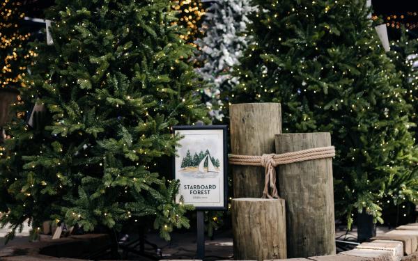 Our 2025 Guide to Lifelike Trees