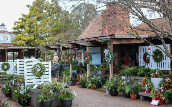  Fresh Greens You Should Use in Your Porch Decor