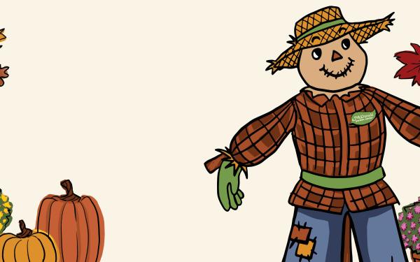  How to Make A Scarecrow