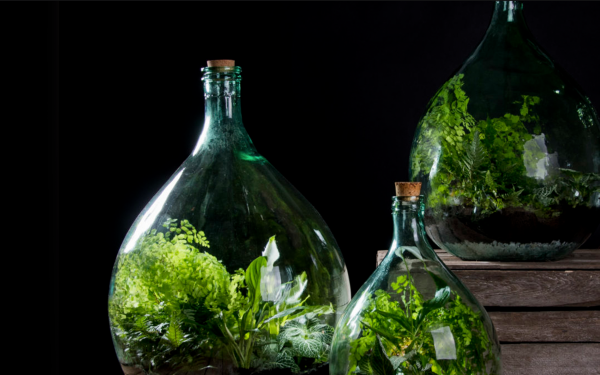 Building Bottle Terrariums, McDonald Garden Center