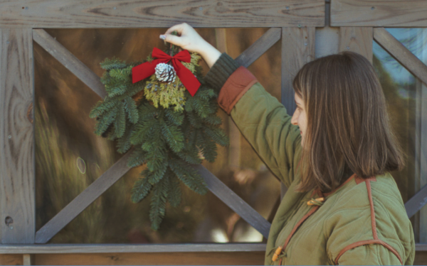  How to Take Care of Your Fresh Green Gifts