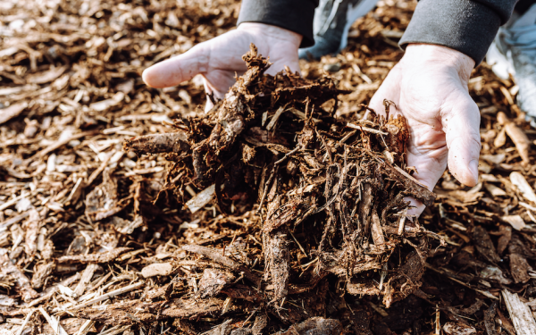 Creative Ways to Use Mulch in Your Landscape