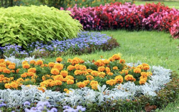 How to Prepare your Landscape for the Summer Months Ahead