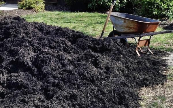  The Mulch Matchmaker: Choosing the Right Mulch for Your Garden Beds