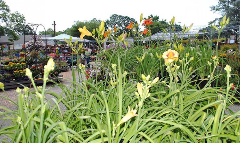 McDonald Garden Center Photo
