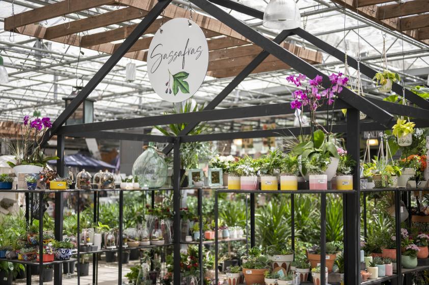 Sassafras store with houseplants, McDonald Garden Center