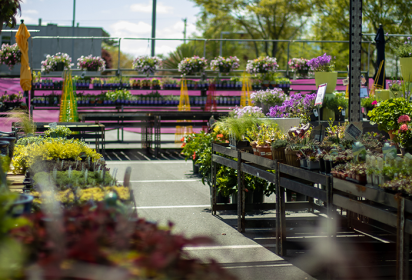 Markets, McDonald Garden Center