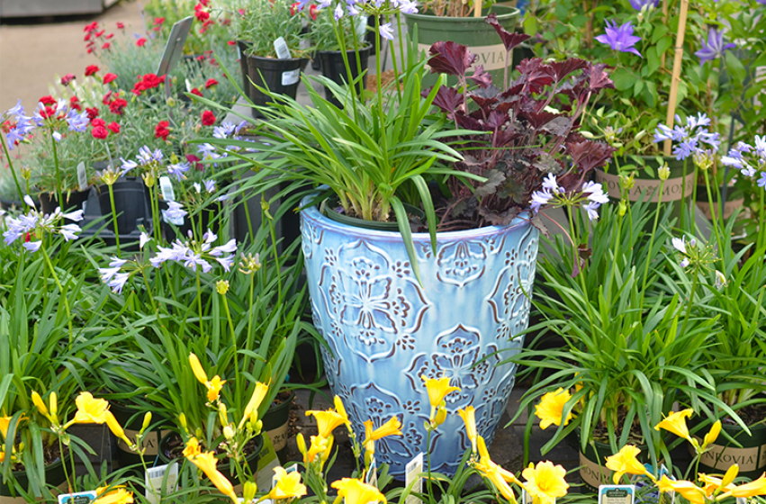 Container Gardening, McDonald Garden Center