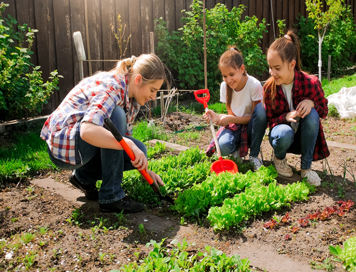 Gardening