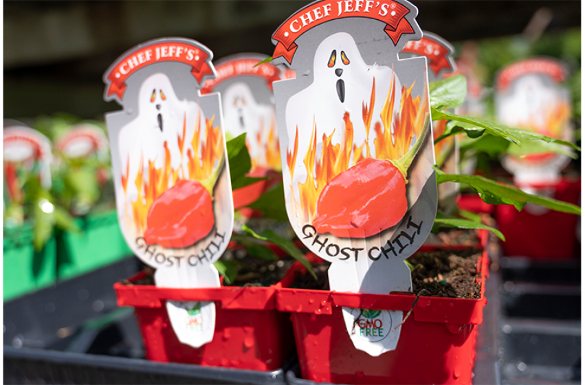 Peppers, McDonald Garden Center