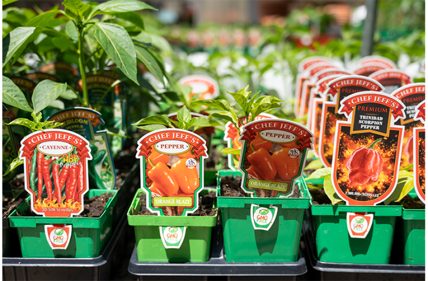 Peppers, McDonald Garden Center