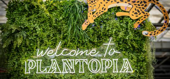 5 Plant Resolutions You’ll Actually Keep in 2026