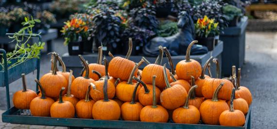  How to Style Your Porch with Pumpkins