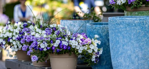 Don't Make These 7 Mistakes if You're Container Gardening