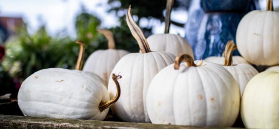 5 Creative Ways to Decorate Your Porch with Pumpkins This Fall