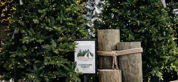 Our 2025 Guide to Lifelike Trees