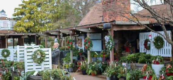  Fresh Greens You Should Use in Your Porch Decor