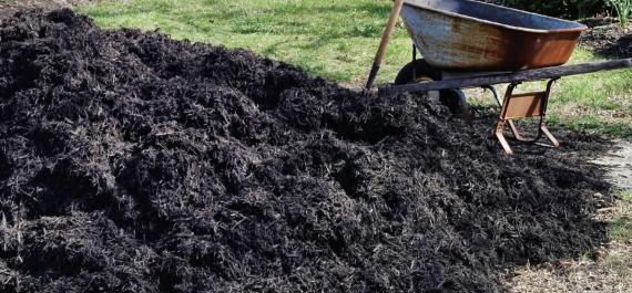  The Mulch Matchmaker: Choosing the Right Mulch for Your Garden Beds