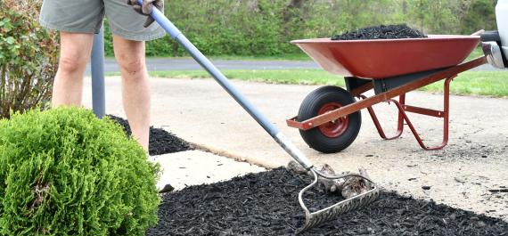 Fall Mulching Myth Busters: What Not to Do and How to Do It Right