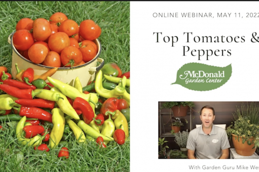 The Garden Guru's Top Tomatoes & Peppers, McDonald Garden Center