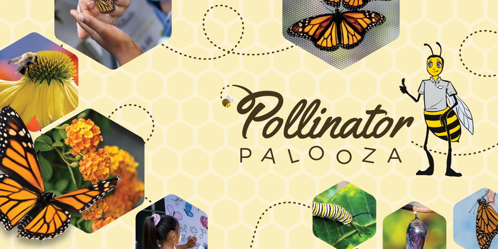 Pollinator Palooza 