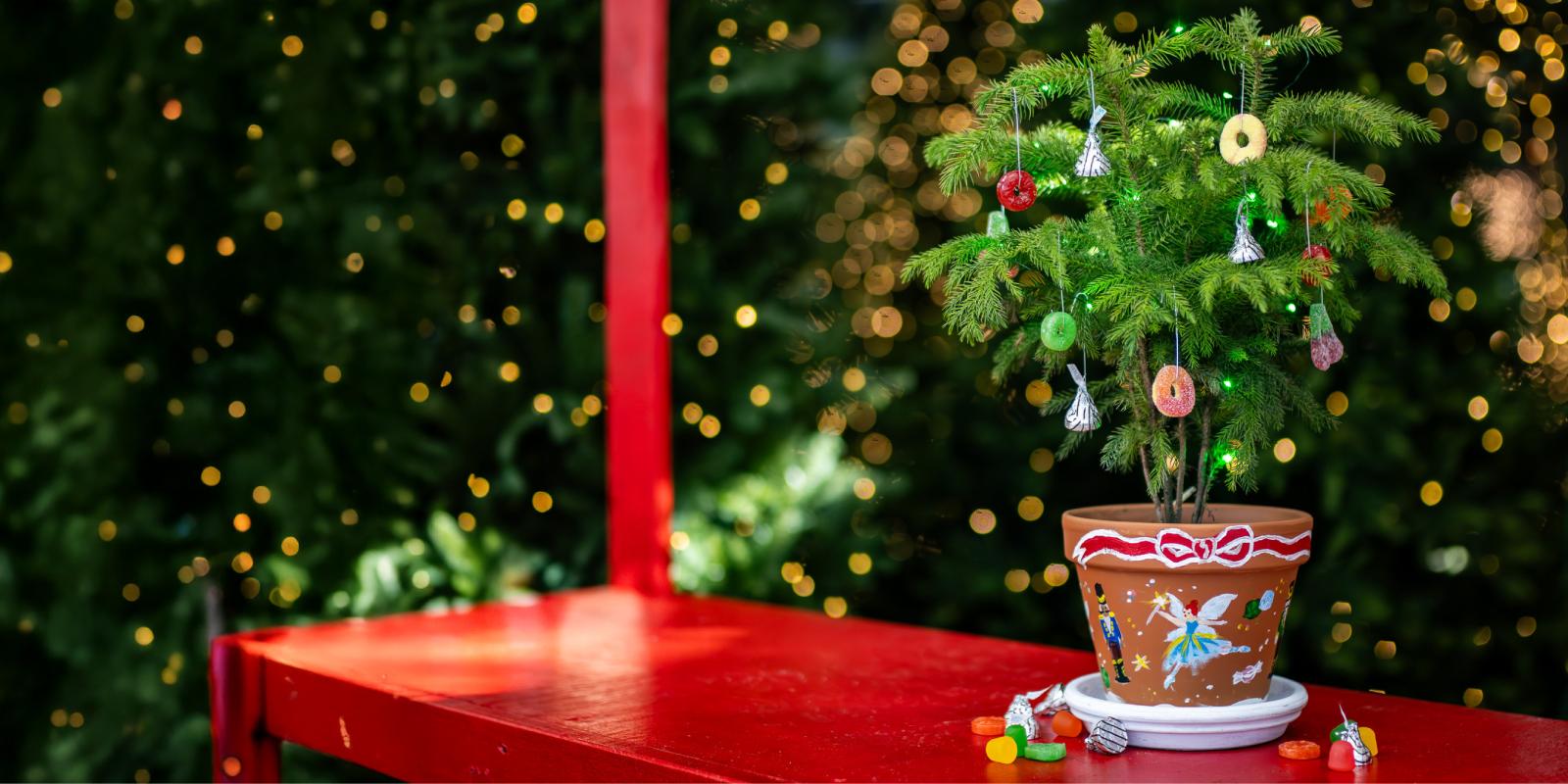 Sugar Plum Garden Workshop for Kids