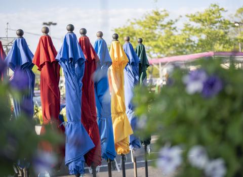 All Umbrellas & Umbrella Stands