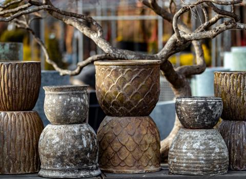 Outdoor Glazed and Concrete Planters