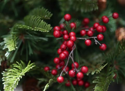 Lifelike Picks & Sprays