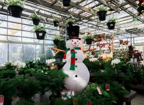 Oudoor Figurines & Inflatables