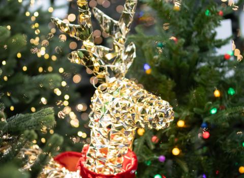 Illuminated Deer & Inflatables