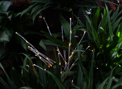 Twig Light Sets