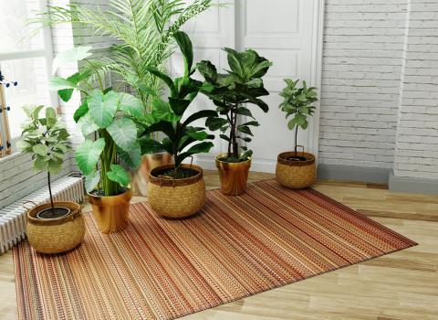 All Outdoor Mad Mats