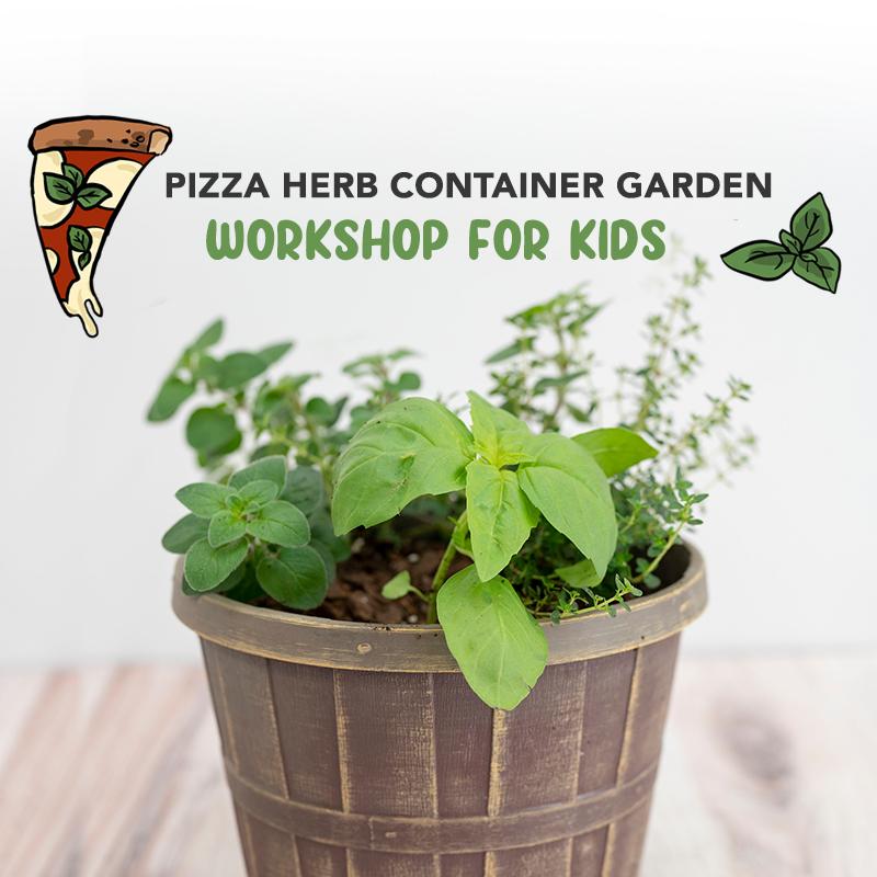 Pizza Herb Container Garden Workshop for Kids