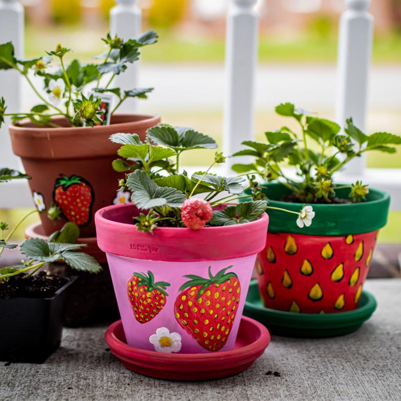Brushes and Berries: Workshop for Kids
