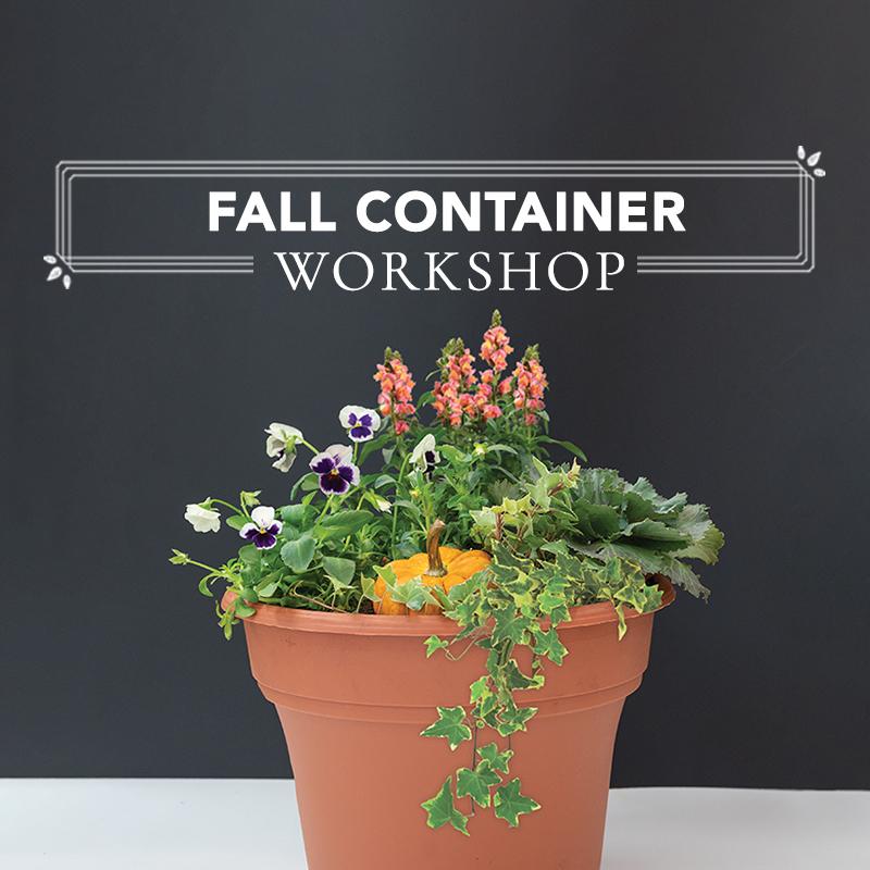 Fall Container Workshop