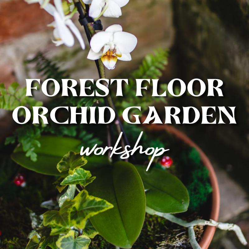 Forest Floor Orchid Garden