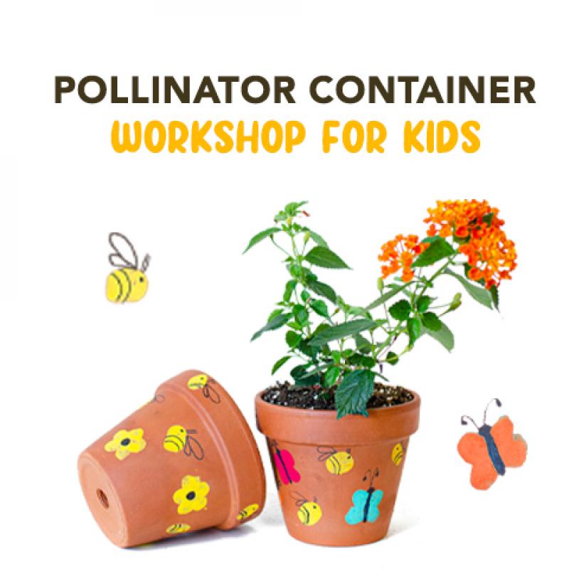 Pollinator Container Workshop for Kids